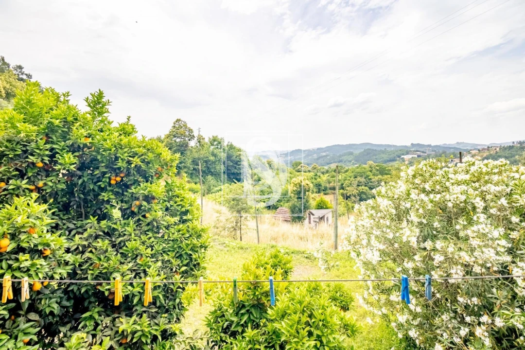 Moradia T3 para Venda em Vila Chã do Marão Foto 26