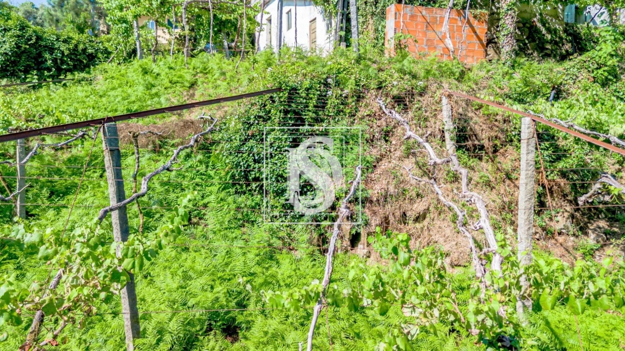 Moradia T3 para Venda em Vila Garcia, Aboim e Chapa Foto 43