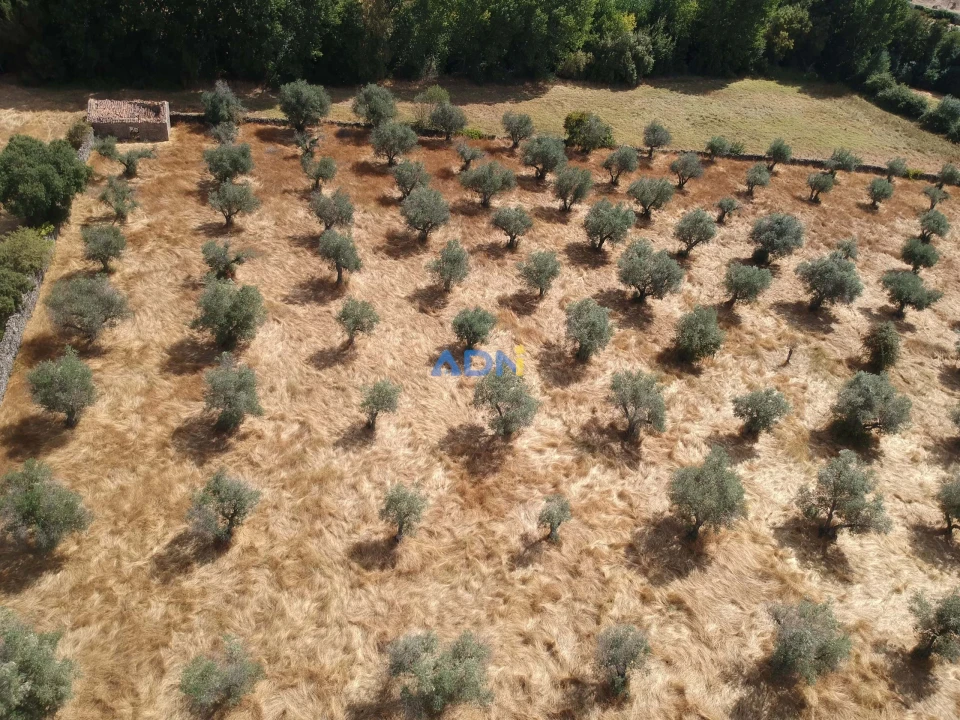 Quinta para Venda em Póvoa de Rio de Moinhos e Cafede Foto 11