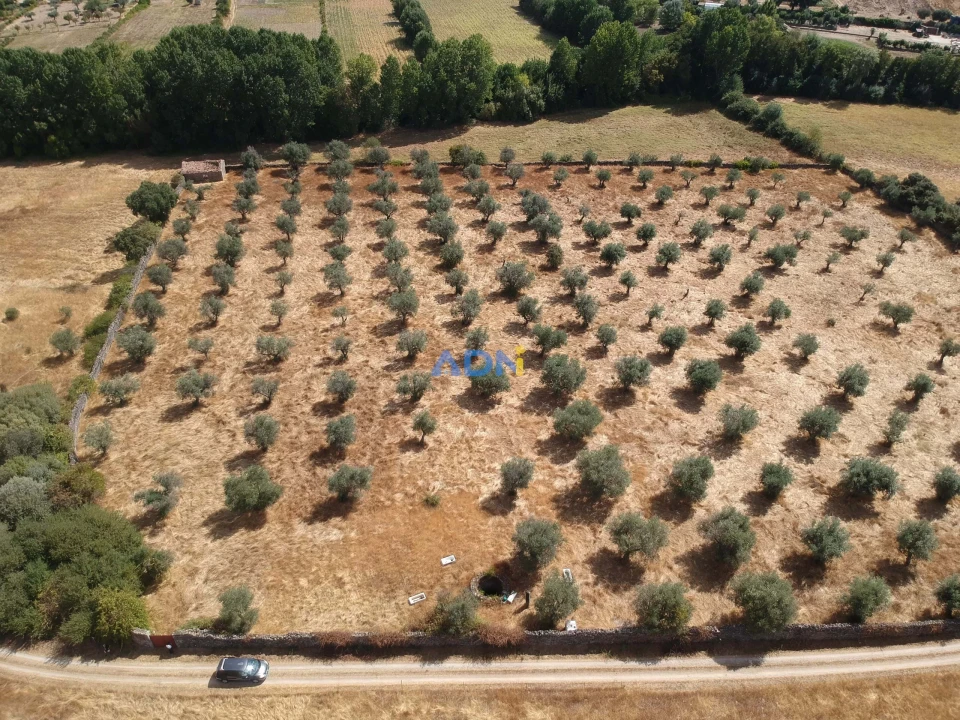 Quinta para Venda em Póvoa de Rio de Moinhos e Cafede Foto 5
