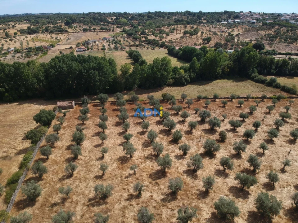 Quinta para Venda em Póvoa de Rio de Moinhos e Cafede Foto 1