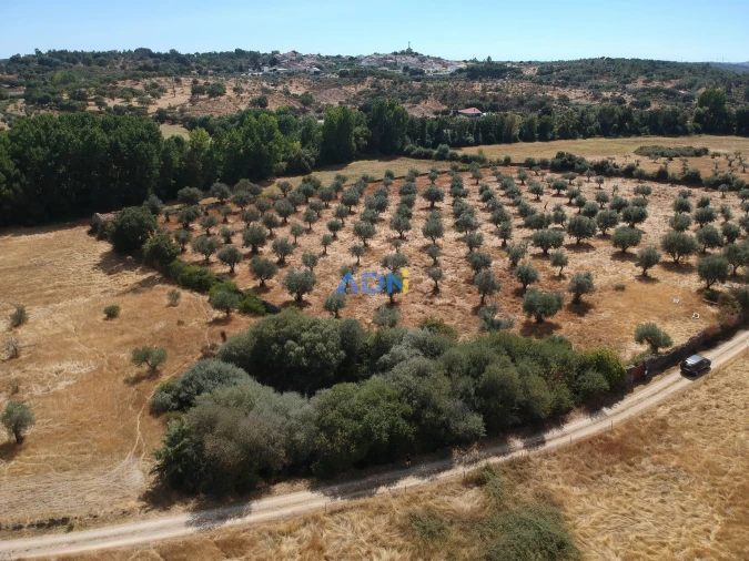 Quinta para Venda em Póvoa de Rio de Moinhos e Cafede Foto 15