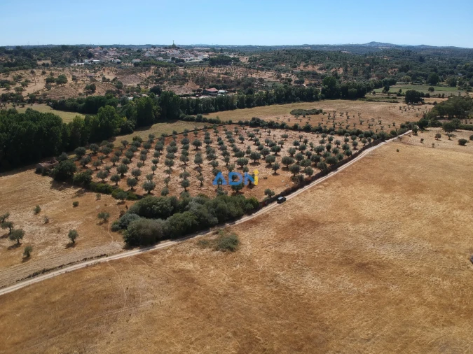 Quinta para Venda em Póvoa de Rio de Moinhos e Cafede Foto 17