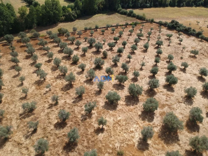 Quinta para Venda em Póvoa de Rio de Moinhos e Cafede Foto 4
