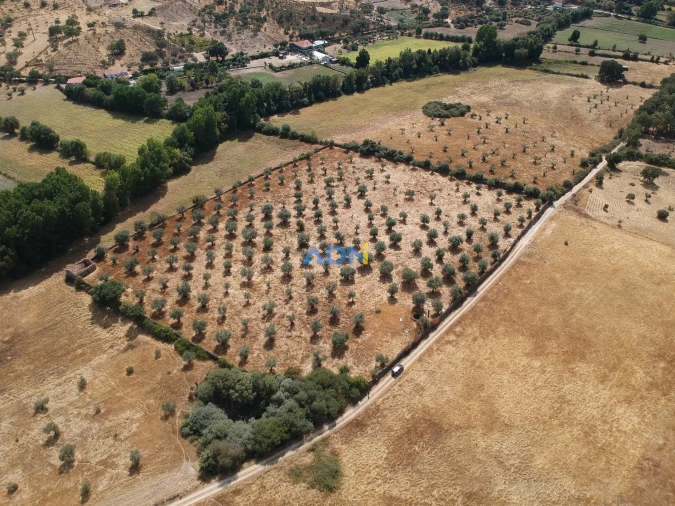 Quinta para Venda em Póvoa de Rio de Moinhos e Cafede Foto 19