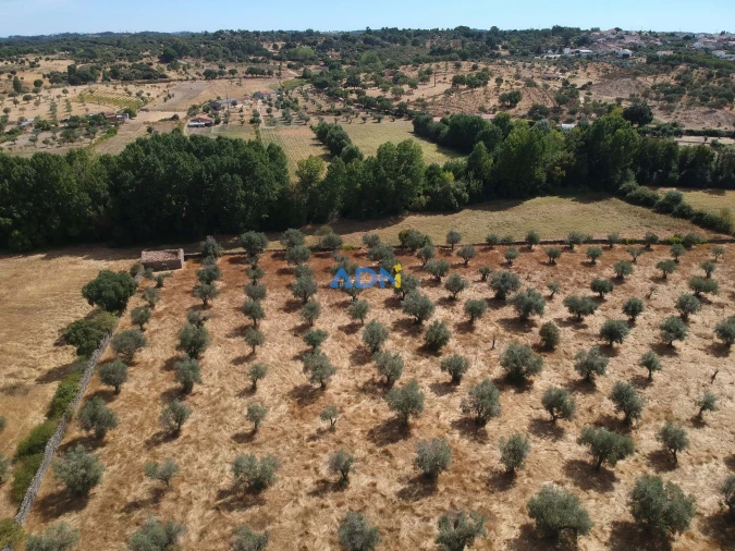 Quinta para Venda em Póvoa de Rio de Moinhos e Cafede Foto 1