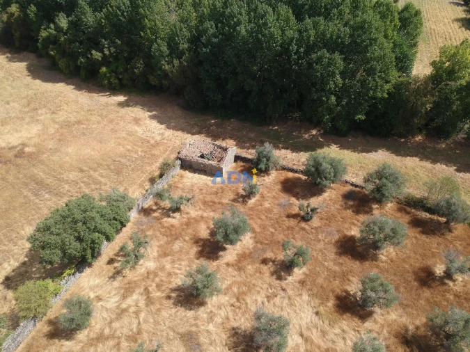 Quinta para Venda em Póvoa de Rio de Moinhos e Cafede Foto 10