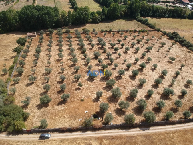 Quinta para Venda em Póvoa de Rio de Moinhos e Cafede Foto 6