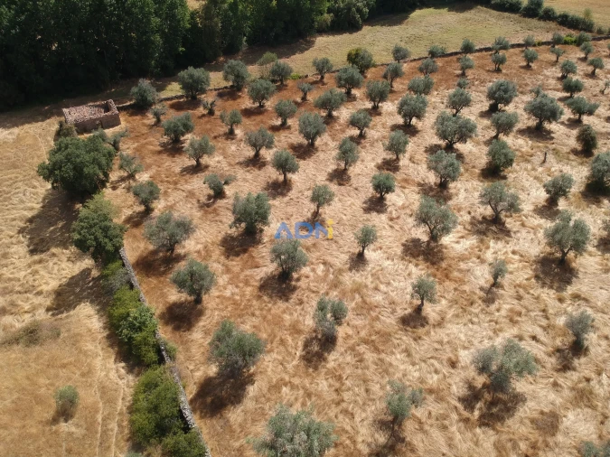 Quinta para Venda em Póvoa de Rio de Moinhos e Cafede Foto 12