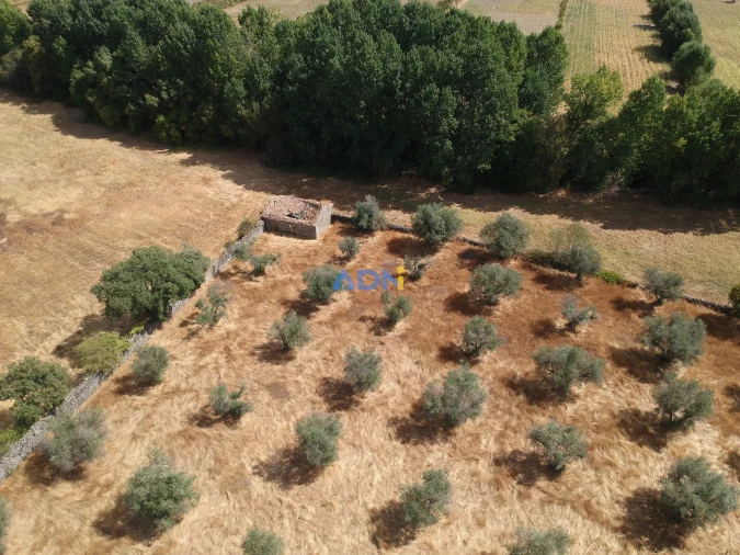 Quinta para Venda em Póvoa de Rio de Moinhos e Cafede Foto 8