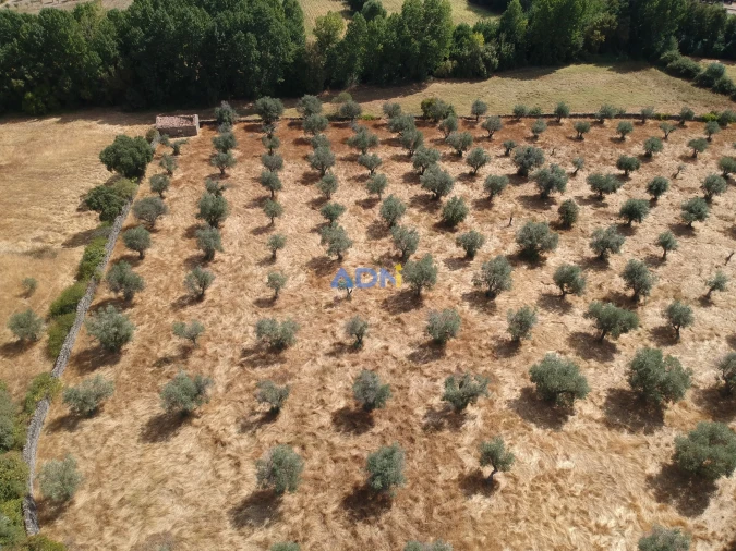 Quinta para Venda em Póvoa de Rio de Moinhos e Cafede Foto 3