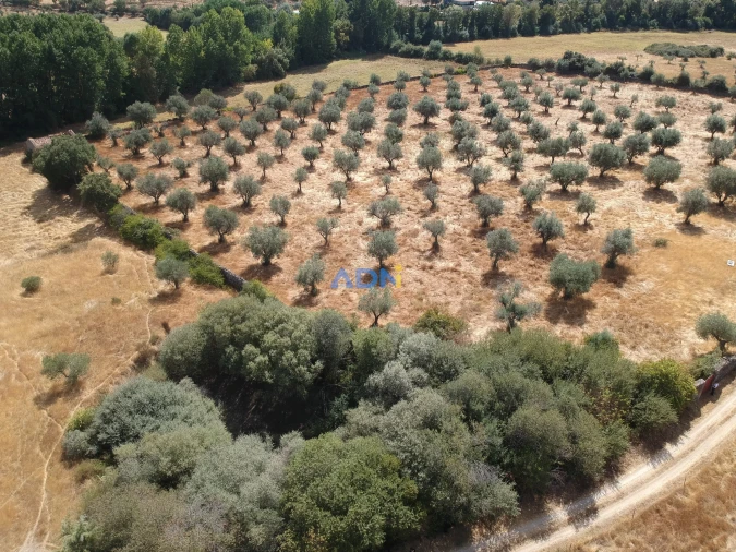 Quinta para Venda em Póvoa de Rio de Moinhos e Cafede Foto 14