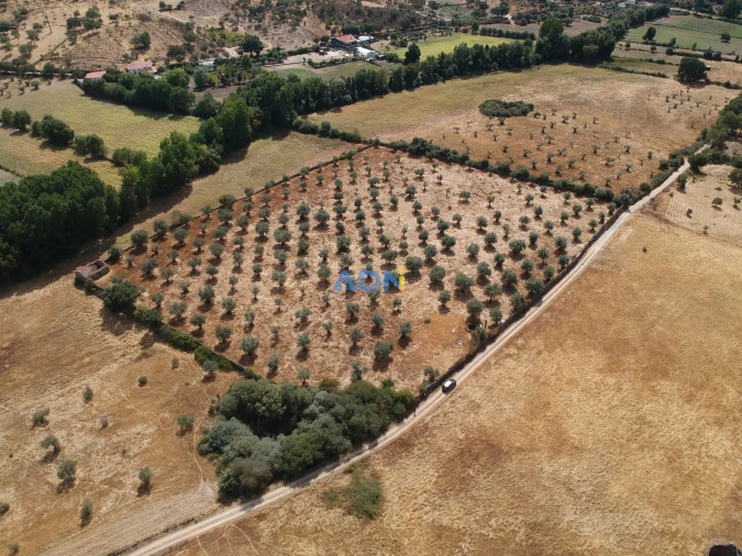 Quinta para Venda em Póvoa de Rio de Moinhos e Cafede Foto 18