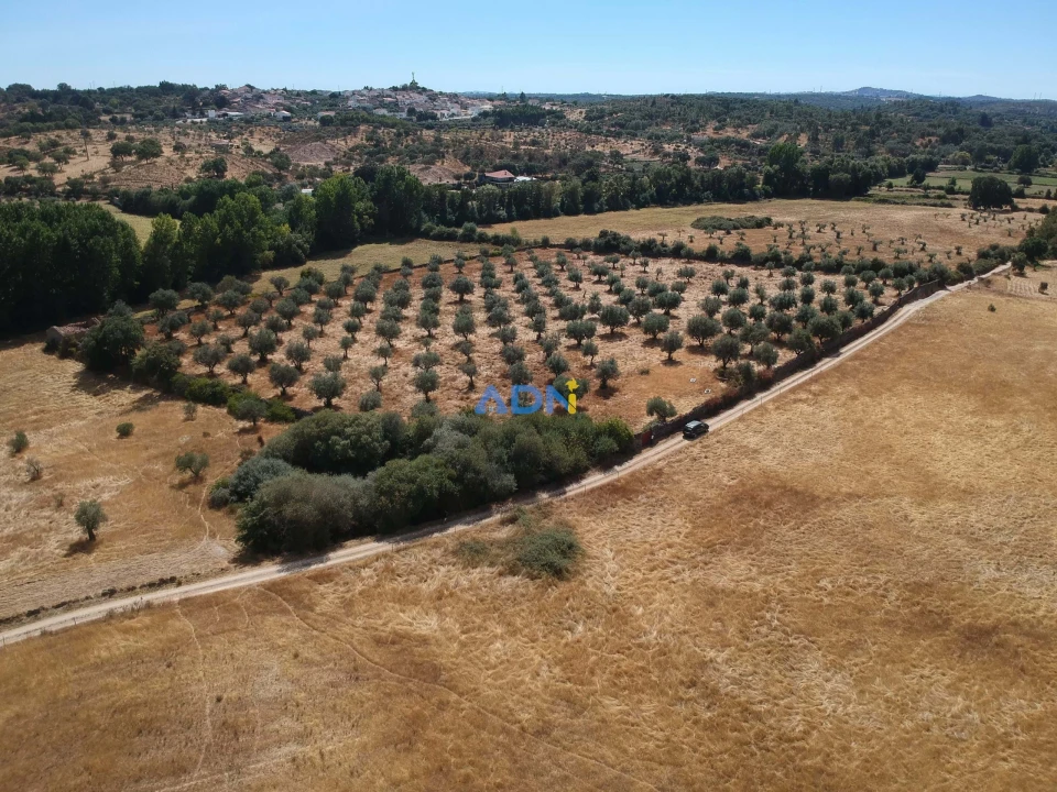 Quinta para Venda em Póvoa de Rio de Moinhos e Cafede Foto 16