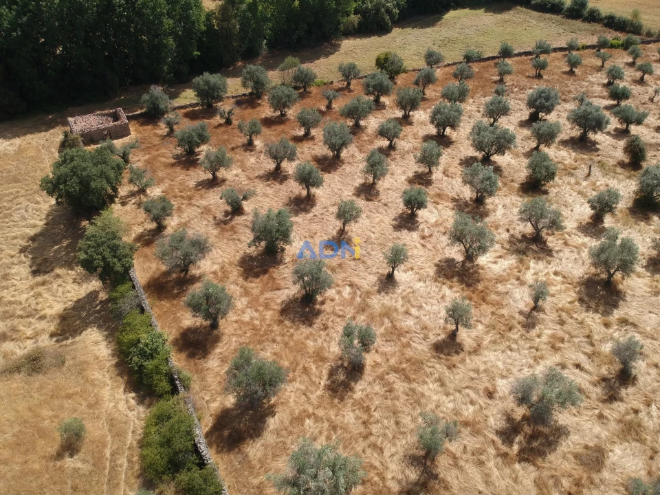 Quinta para Venda em Póvoa de Rio de Moinhos e Cafede Foto 12