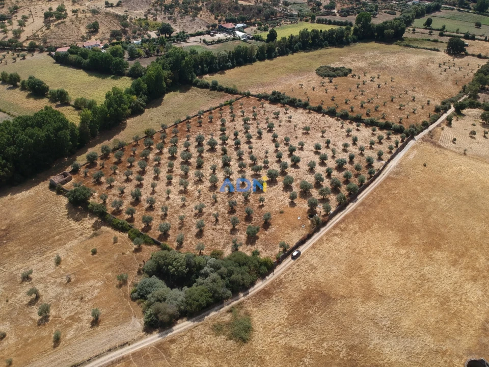 Quinta para Venda em Póvoa de Rio de Moinhos e Cafede Foto 18