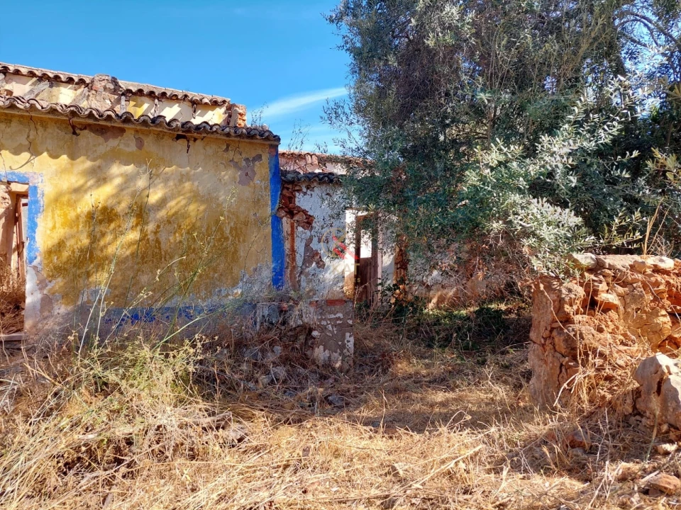 Terreno para Venda em Silves Foto 9