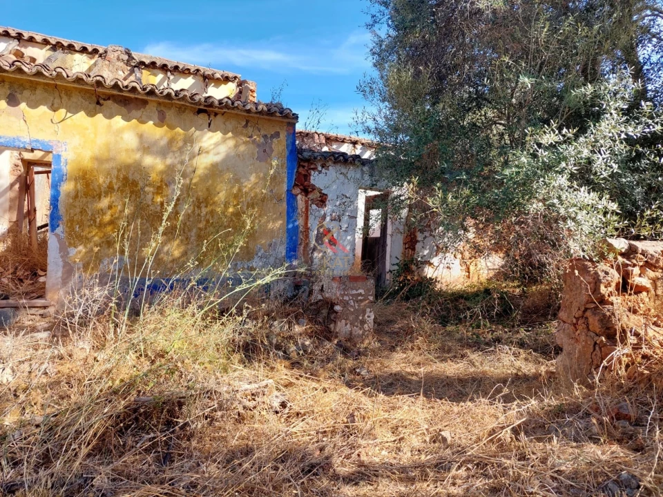 Terreno para Venda em Silves Foto 6
