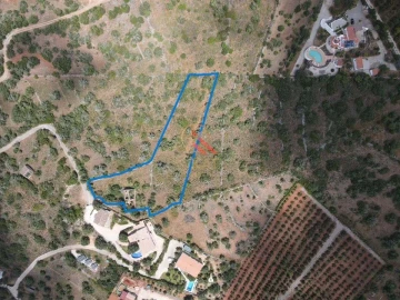 Terreno para Venda em Silves