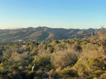 Terreno para Venda em Silves