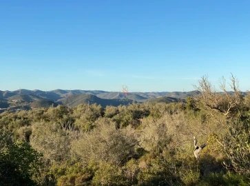 Terreno para Venda em Silves