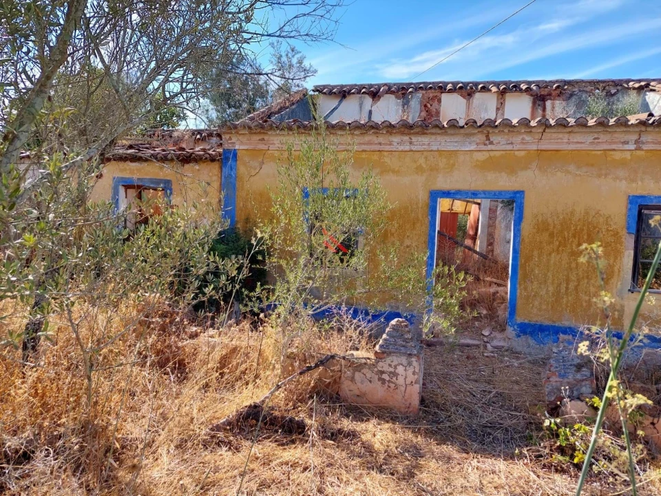 Terreno para Venda em Silves Foto 5