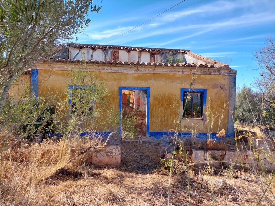 Terreno para Venda em Silves Foto 4