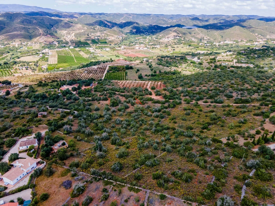 Terreno para Venda em Silves Planta 5