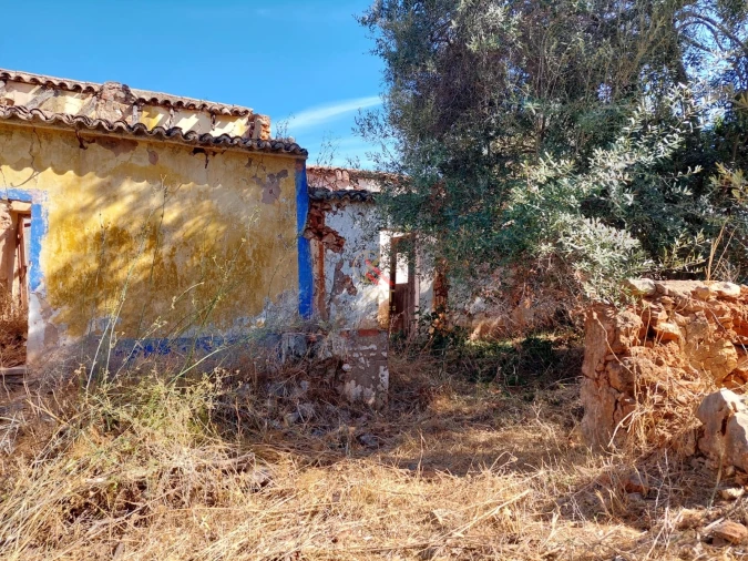 Terreno para Venda em Silves Foto 9