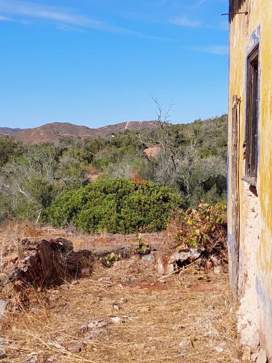 Terreno para Venda em Silves Foto 12