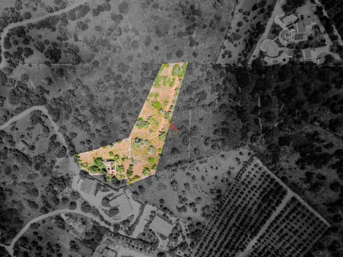 Terreno para Venda em Silves Foto 3