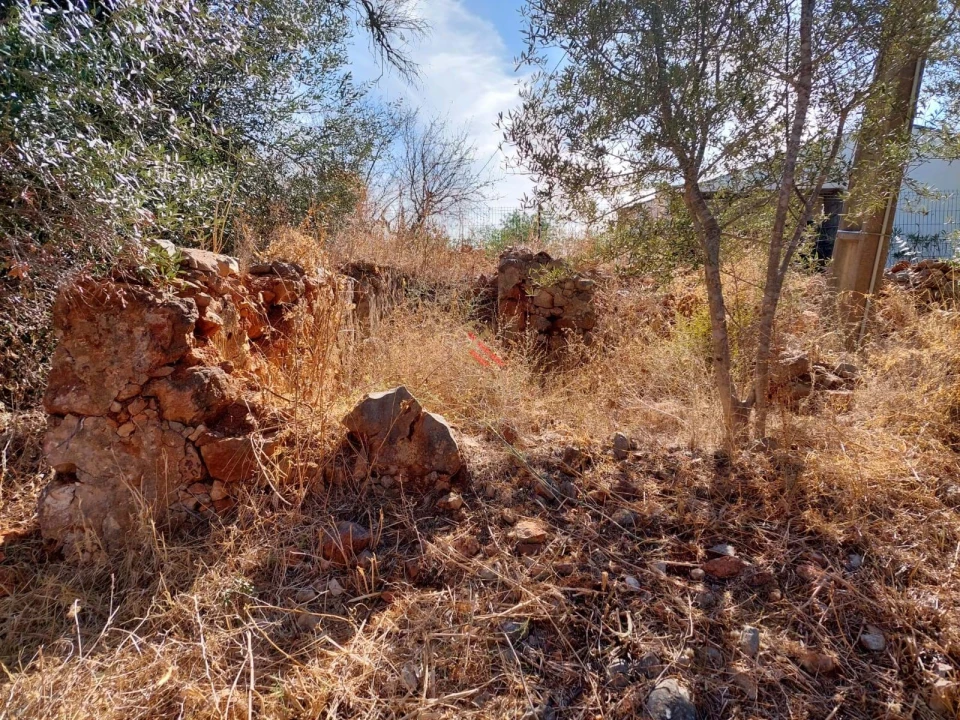 Terreno para Venda em Silves Foto 18