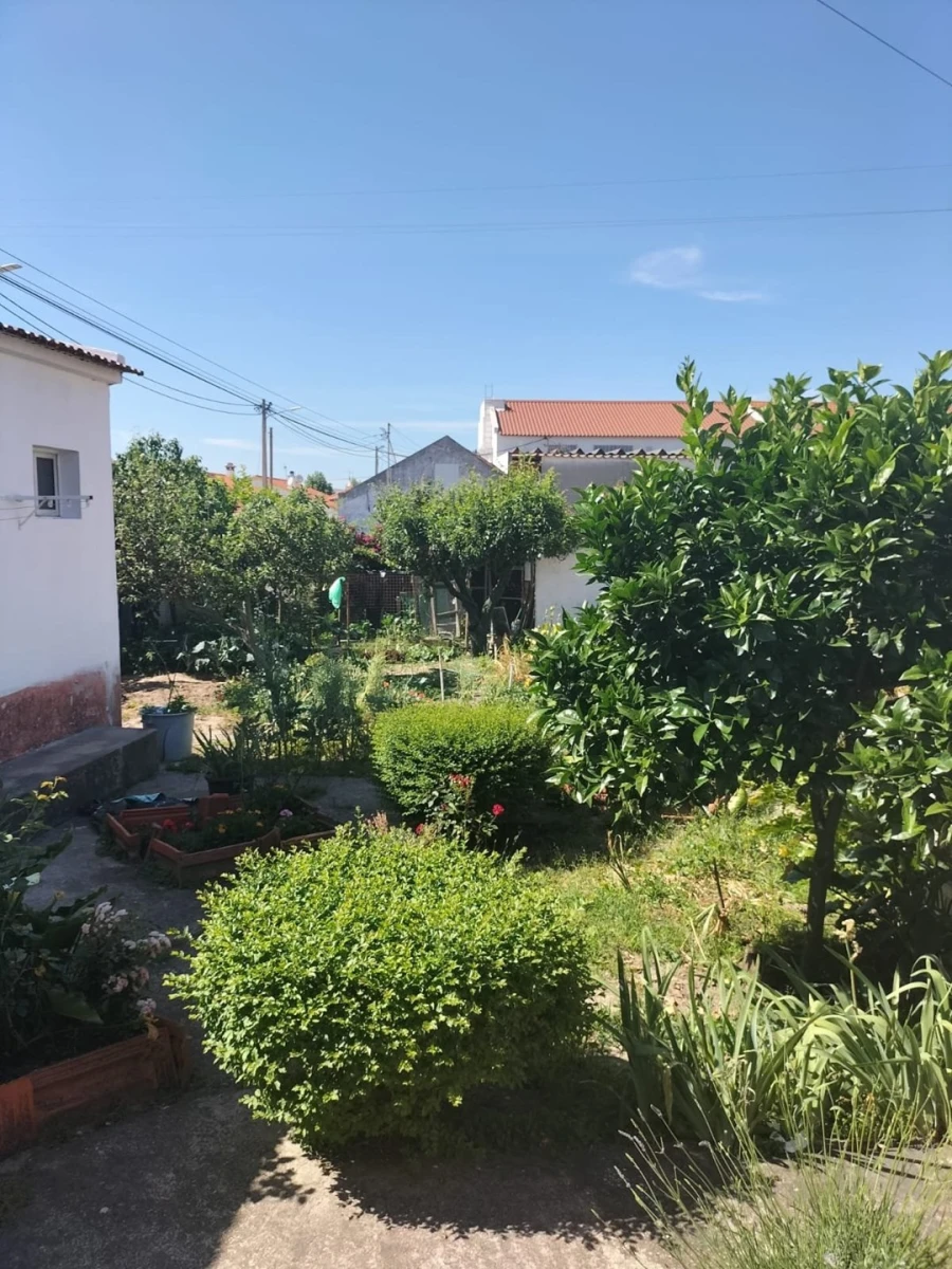 Quinta T6 para Venda em Poceirão e Marateca Foto 12