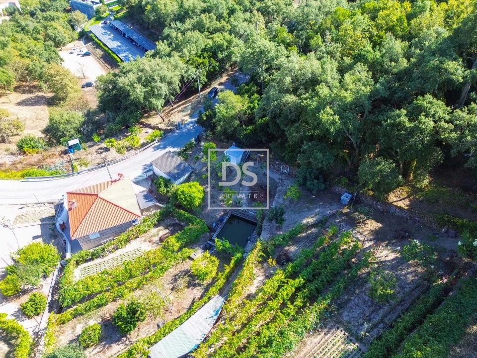 Terreno para Venda em Santa Cruz do Douro e São Tomé de Covelas Foto 5