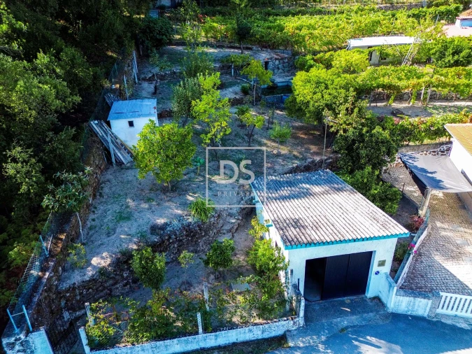 Terreno para Venda em Santa Cruz do Douro e São Tomé de Covelas Foto 13