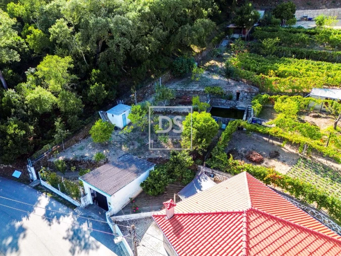 Terreno para Venda em Santa Cruz do Douro e São Tomé de Covelas Foto 10