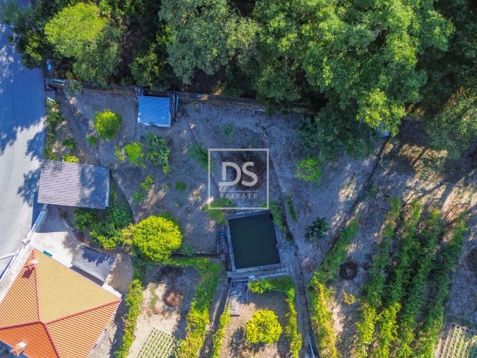 Terreno para Venda em Santa Cruz do Douro e São Tomé de Covelas Foto 6