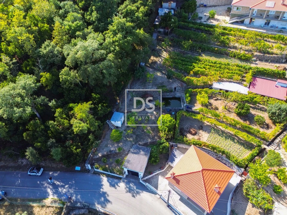 Terreno para Venda em Santa Cruz do Douro e São Tomé de Covelas Foto 3