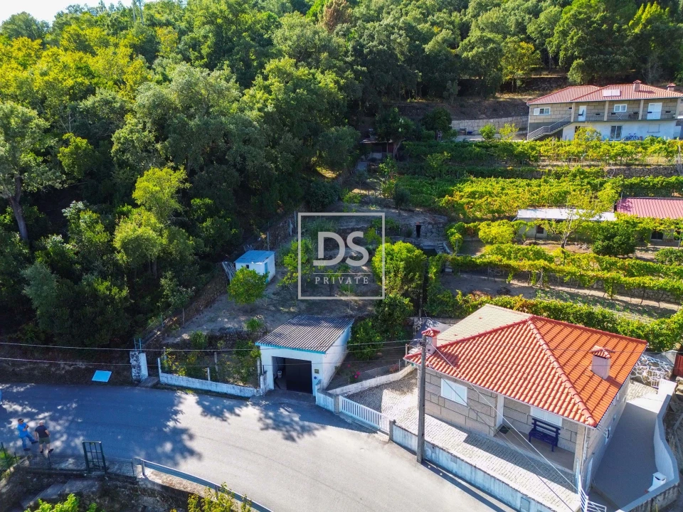Terreno para Venda em Santa Cruz do Douro e São Tomé de Covelas Foto 2