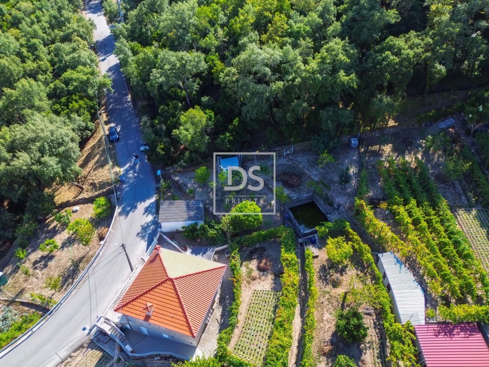 Terreno para Venda em Santa Cruz do Douro e São Tomé de Covelas Foto 4