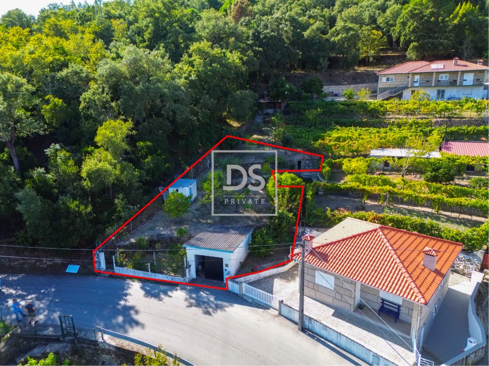 Terreno para Venda em Santa Cruz do Douro e São Tomé de Covelas Foto 1