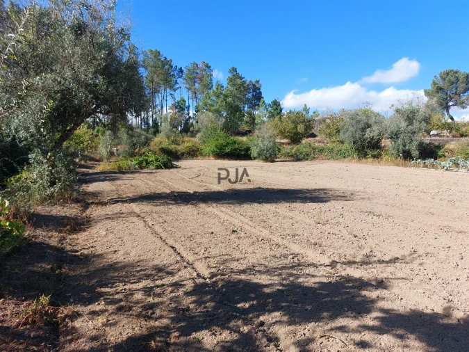 Moradia T2 para Venda em Algodres Foto 11