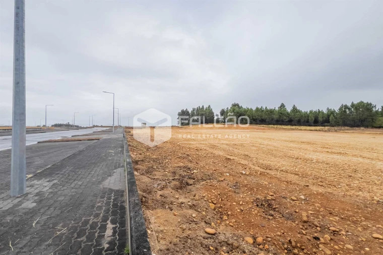 Terreno para Venda em Troporiz e Lapela Foto 43