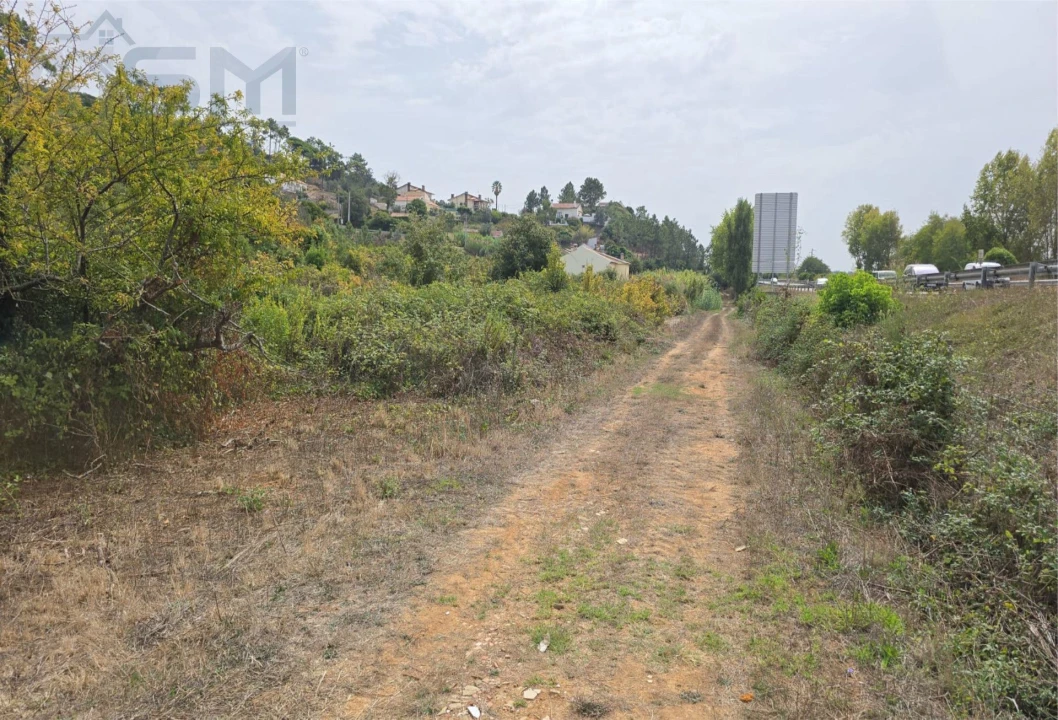 Terreno Agricola ou Rústico para Venda em Roliça Foto 3