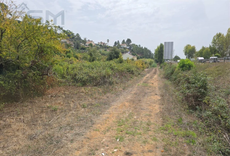 Terreno Agricola ou Rústico para Venda em Roliça Foto 3