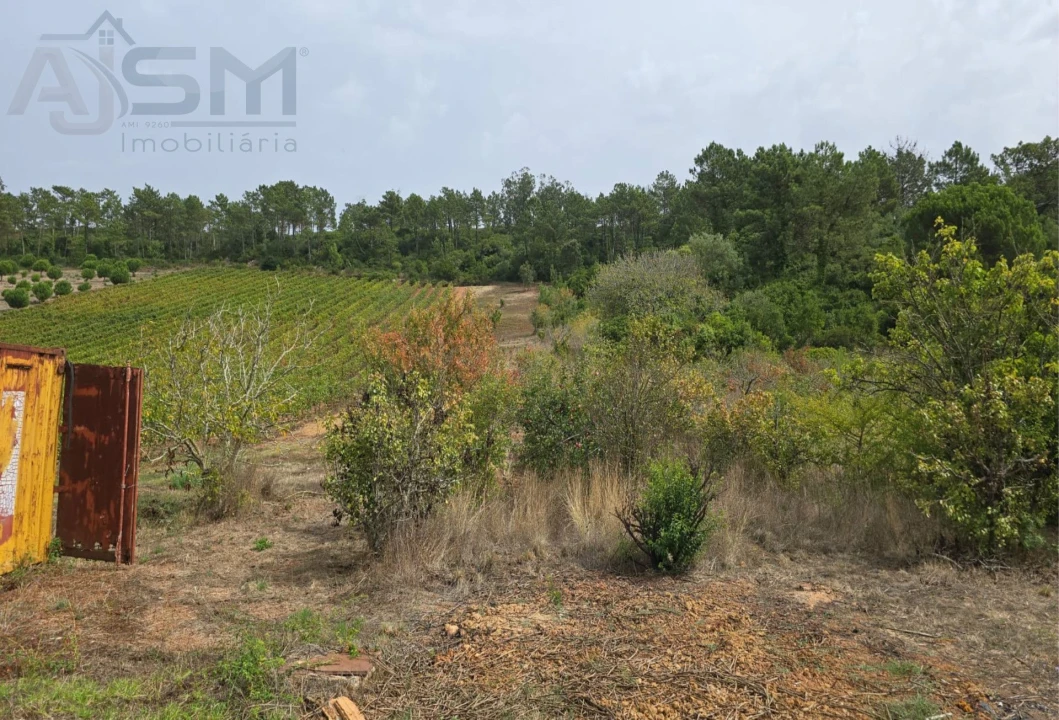 Terreno Agricola ou Rústico para Venda em Roliça Foto 4