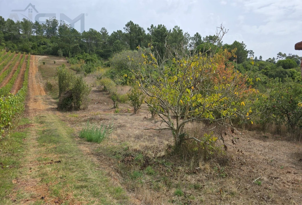 Terreno Agricola ou Rústico para Venda em Roliça Foto 2