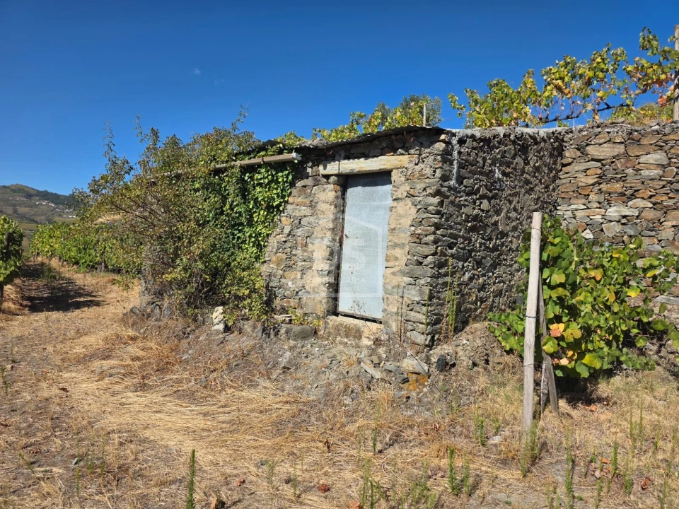 Quinta T0 para Venda em Lobrigos (São Miguel e São João Baptista) e Sanhoane Foto 8