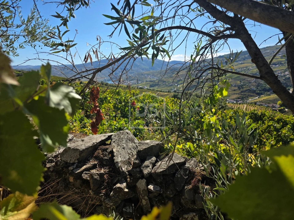 Quinta T0 para Venda em Lobrigos (São Miguel e São João Baptista) e Sanhoane Foto 5