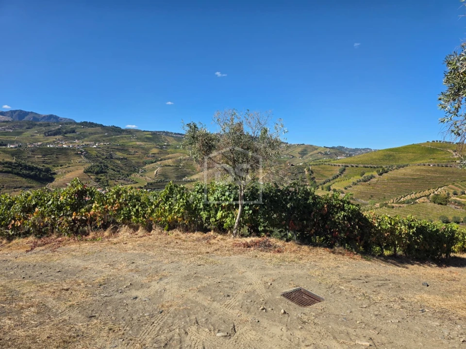 Quinta T0 para Venda em Lobrigos (São Miguel e São João Baptista) e Sanhoane Foto 10